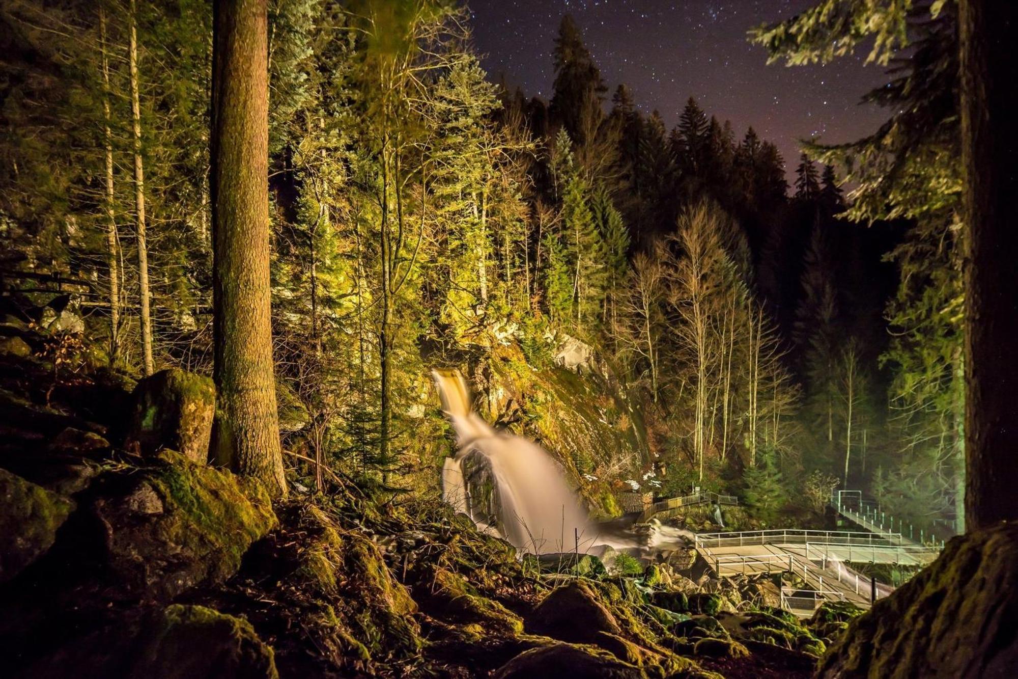 Ferienhaus Am Roesslewald Breitnau Ngoại thất bức ảnh